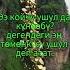 Садыбакас Доолов Ажы Кредит жонундо кату айтты