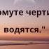 В тихом омуте черти водятся