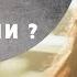 Как управлять своими реакциями Света Дубинская