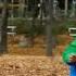 Month Of November To Be Peak Season Of Autumn Foliage In City Areas