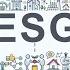 Environmental Social And Governance ESG Framework And Standards