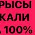 С ЭТОЙ КРЫСЫ ВЫ ВЗЫСКАЛИ ДОЛГИ НА 100