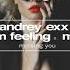 Andrey Exx Elis M Feeling Ft Misha Miss You