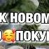 ГОТОВИМСЯ К НОВОМУ ГОДУ ВОСХИТИТЕЛЬНЫЕ НОВОГОДНИЕ ПОКУПКИ ТВОРЮ КРАСОТУ Будни Мамы Влог