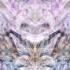 Tipper Ambient Set CoSM Alex Grey Art HD