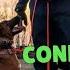 How To Teach A Conflict Free Out Command Grassroots K9