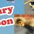 My Top 3 Favorite Vehicles From August 2024 In Military Tycoon Roblox