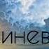 Михаил Шумейко синева