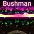 Bushman No 1 Else Radio Mix