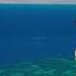 Phil Collins Another Day In Paradise Ced Deep ReWork Edit