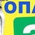ЧЕМ ОПАСЕН ЗЕЛЕНСКИЙ ИЛИ 5 ЗАКОНОВ ГЛУПОСТИ ПОЛИТ МУЛЬТ