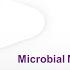 Microbial Monitoring Of Germ Free Isolators