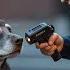 Officer Tased A Veteran Holding His Service Dog 5 Minutes Later A Marine Convoy Surrounded The Block