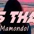 VIRAL TIKTOK Whos That Girl Revan Mamondol REMIX