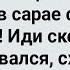 Сосед в Сарае Нашу Мамку Имеет Сборник Свежих Анекдотов Юмор