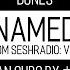 BONES The Unnamed Track From SESHRADIO Vol 1 By Kaonashi Lyrics