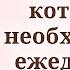 Утренние Молитвы Отче Наш Богородице Дево Радуйся Ангелу Хранителю