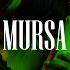 Mursa Preview