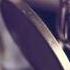 Bluesy Vibes Doug Maxwell Media Right Productions