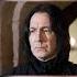 Why Was Professor Snape S Avada Kedavra Curse BLUE Shorts