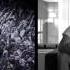 Swedish House Mafia An Insight Into The Dark Forest