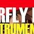 Travis Scott Butterfly Effect Instrumental