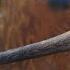 Fire Axe Restoration How Not To Polish An Axe