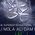 ALI MOLA ALI DAM DAM Official Full Track Remix 2019 Sultan Ul Qadria Qawwal