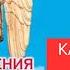 Откровения Ангелов Хранителей Начало 1 Любовь Панова Как устроена вселенная Читает Таль Ман