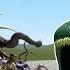 All Zoochosis Mutant Animals Vs Sea Monsters Great Maja The Bloop In Garry S Mod