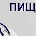 Нарушения пищеварения боли в желудке и поджелудочной железе Скорая помощь в домашних условиях