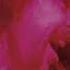 Bob Seger The Silver Bullet Band Travellin Man Beautiful Loser LIVE W Lyrics In Description