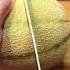 ASMR REFRESHING SOUND EFFECT CUTTING MELON Shorts Trending Viral Cool