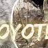 BEST Coyote Hunting Rifle Setup Coyote Hunting Gear