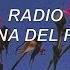 Radio Lana Del Rey Lyrics