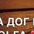 касумов