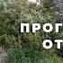 Путь шествующий Поход по реке Чусовая Одиночный поход Река Чусовая