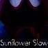 Sunflower X Sunflower Slowed Reverb Tiktok Version Post Malone Ft Swae Lee