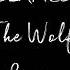 SIAMÉS The Wolf Lyric Video HD