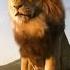 Lion Roar In Jungle Lion Sound Effects Shorts Lion Simba