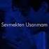 Pinhani Sevmekten Usanmam Slowed ReverB