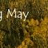 Blooming May