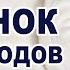 Что происходит и что нужно ребенку во 2 месяц жизни Развитие ребенка по месяцам Второй месяц жизни