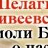 КТО СЛУШАЛ БЛАЖЕННУЮ ДО КОНЦА ДНЕЙ НЕ МОГ ЗАБЫТЬ ПОТРЯСАЮЩЕГО ДЕЙСТВИЯ ЕЕ СЛОВ ч 2