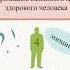 7 признаков психологически здорового человека психология психологиячеловека психика