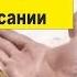 Хлеб без дрожжей квас на берёзовом соке В имении Живая Баня у Ивана Подарок в конце