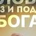 Бытие 7 Человек образ и подобие Бога Алексей Коломийцев