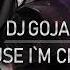 Dj Goja Cause I M Crazy Official Single