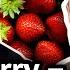 Древние русские корни в английском языке какую историю скрывают учёные Virginia Beowulf
