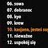 Patrycja Kosiarkiewicz 10 Kasjana Jesteś Super Audio